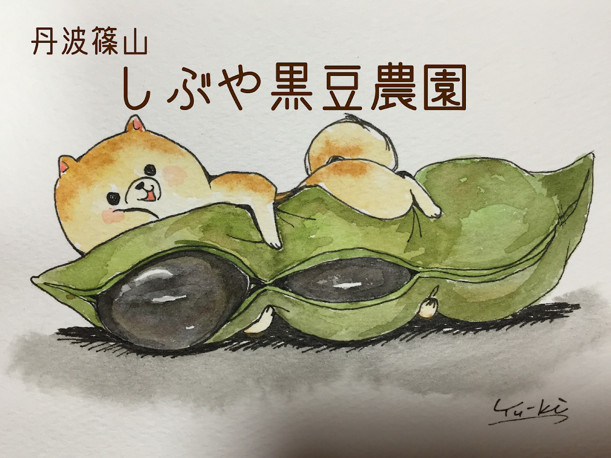 しぶや黒豆農園