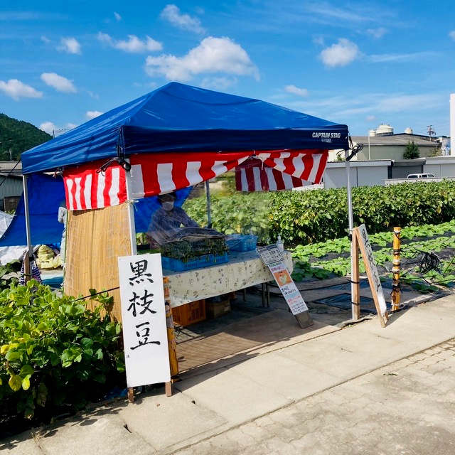 植野農園